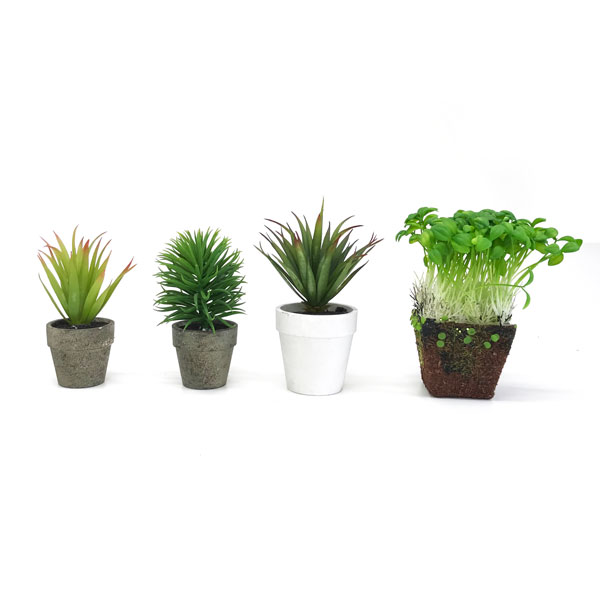 Vaso Agave Suculenta Artificial (15cm) - Imagem 3