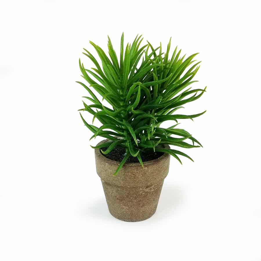 Vaso Aloe Suculenta Artificial (16cm) - Imagem 2