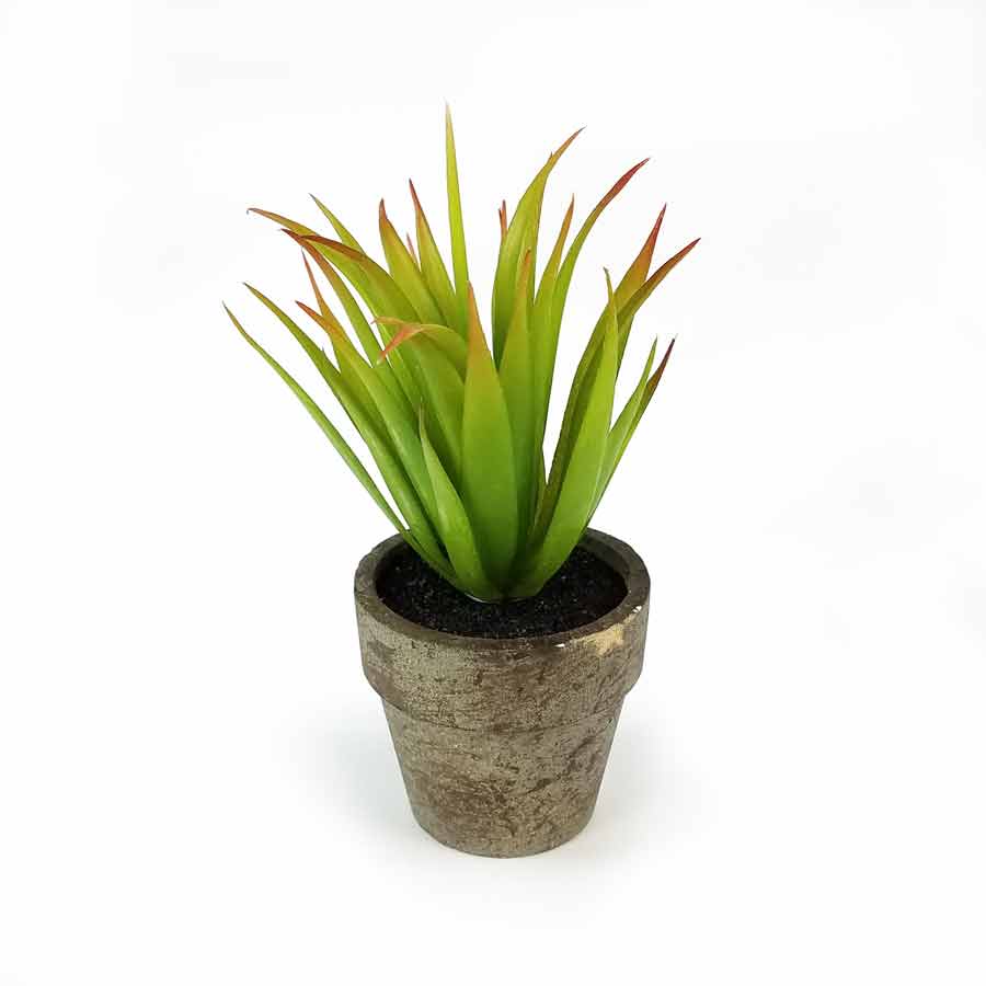 Vaso Agave Suculenta Artificial (15cm) - Imagem 2