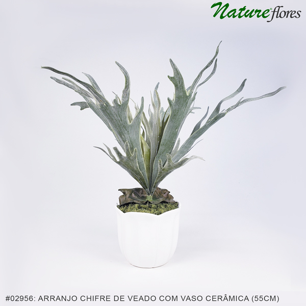 Arranjo Chifre de Veado Artificial com Vaso Cerâmica (18x55cm)