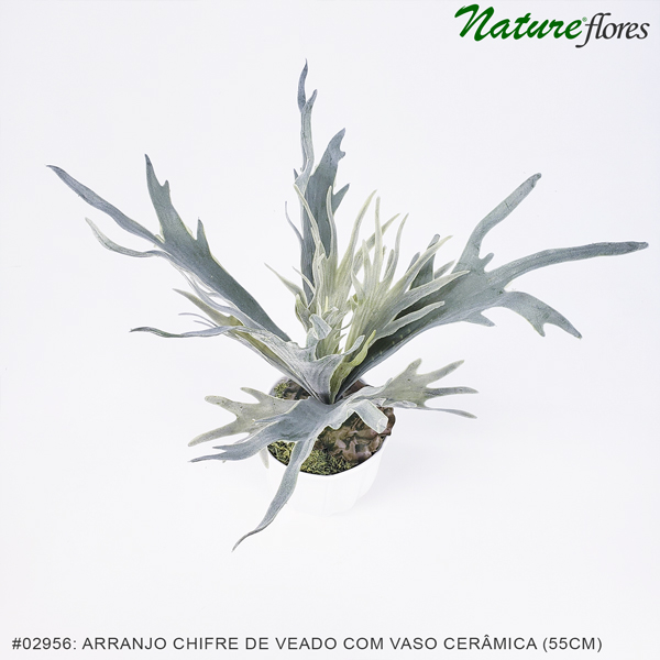 Arranjo Chifre de Veado Artificial com Vaso Cerâmica (18x55cm) - Imagem 2