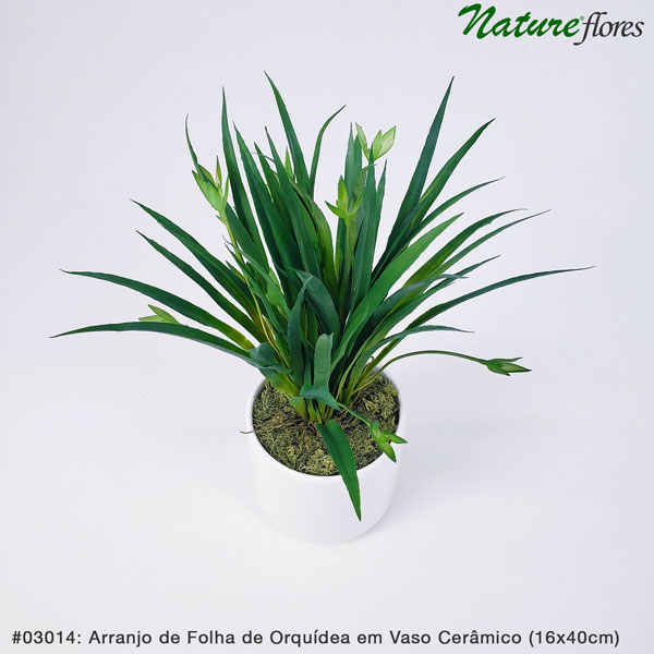Arranjo de Folha de Orquídea em Vaso Cerâmico (16x40cm)