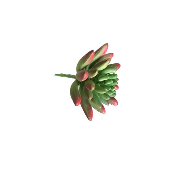 Suculenta Mini Artificial Mesclado (7cm) - Imagem 4
