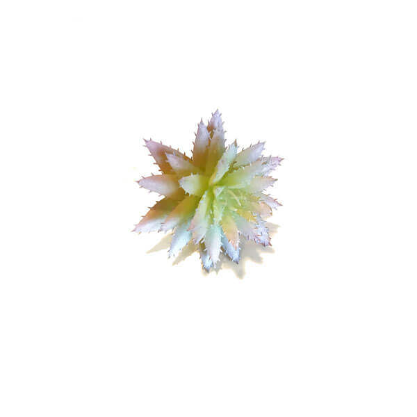Echeveria Cacto Artificial Decorativo (10cm) - Imagem 7
