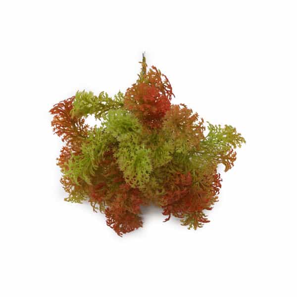 Renda Crespa Outonado Pick Artificial (26cm) - Imagem 3