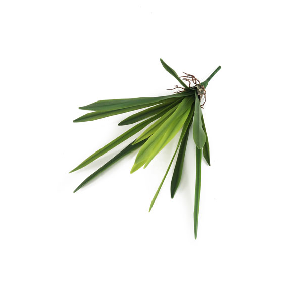 Folha Artificial de Orquídea em Silicone 15F (40cm) - Imagem 5