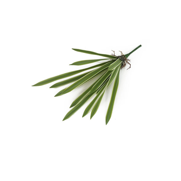 Folha Artificial de Orquídea em Silicone 15F (40cm) - Imagem 8