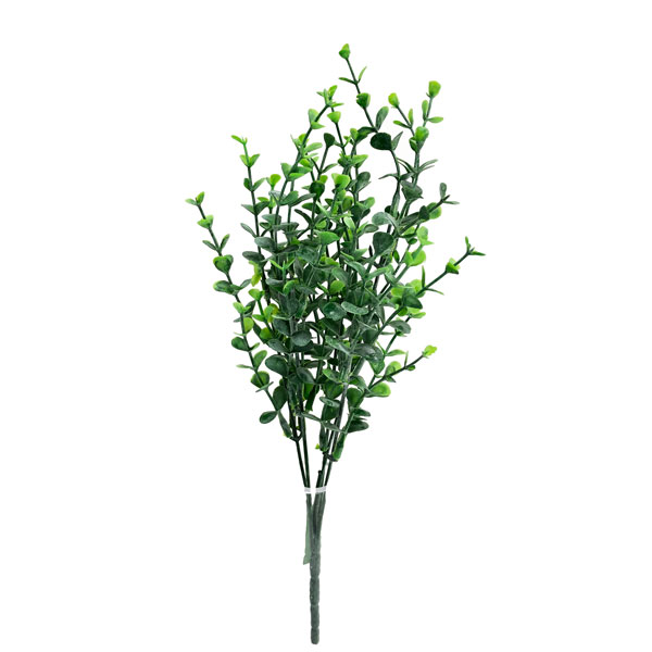 Buxinho Verde Mini Arbusto 5H (36cm) - Imagem 2