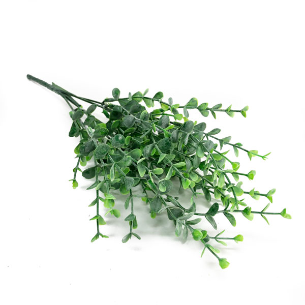 Buxinho Verde Mini Arbusto 5H (36cm) - Imagem 3