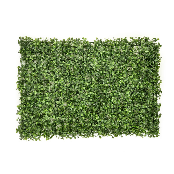 Tapete de Buxinho Jardim Vertical Artificial (60x40cm) - Imagem 5