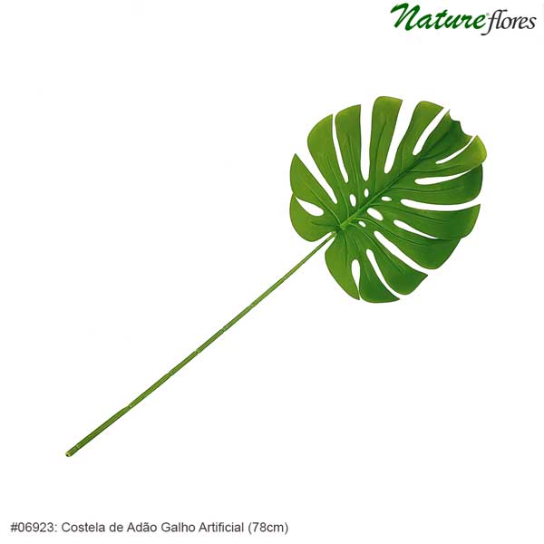 Costela de Adão Galho Artificial (78cm) - Imagem 3