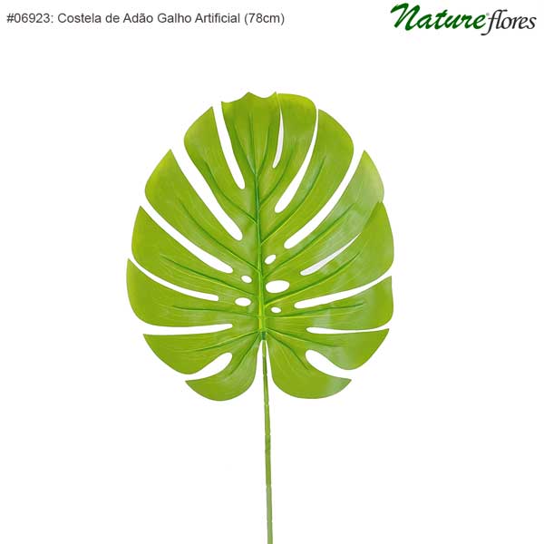 Costela de Adão Galho Artificial (78cm) - Imagem 2