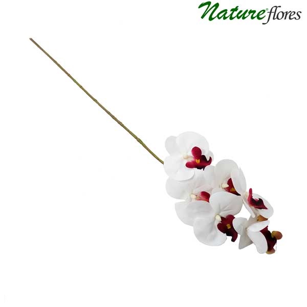 Phalaenopsis Branco/Vinho Galho Floral Artificial 6F (70cm) - Imagem 2