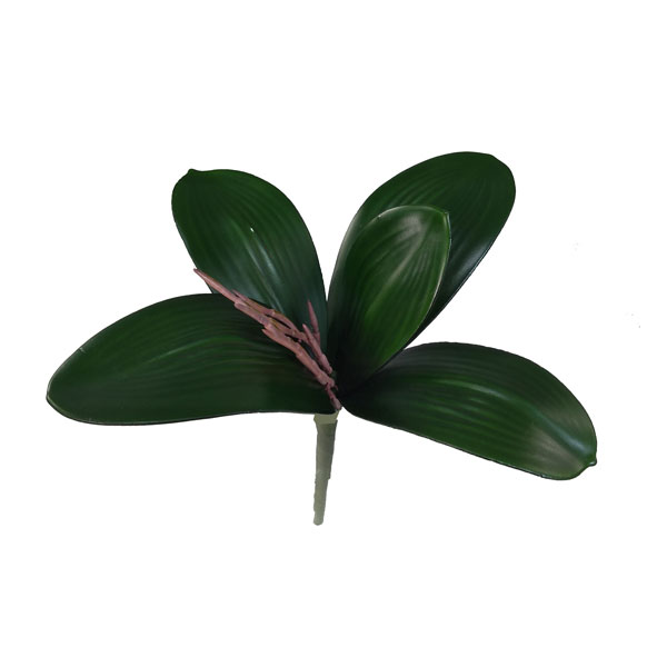 Folha de Orquídea Borboleta Artificial 5F (23cm) - Imagem 3