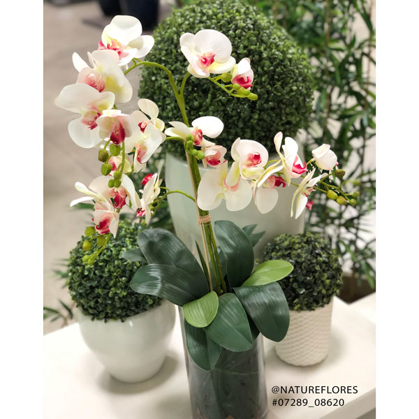 Folhas de Orquídea Artificial com Raiz 5F (27cm) - Imagem 2