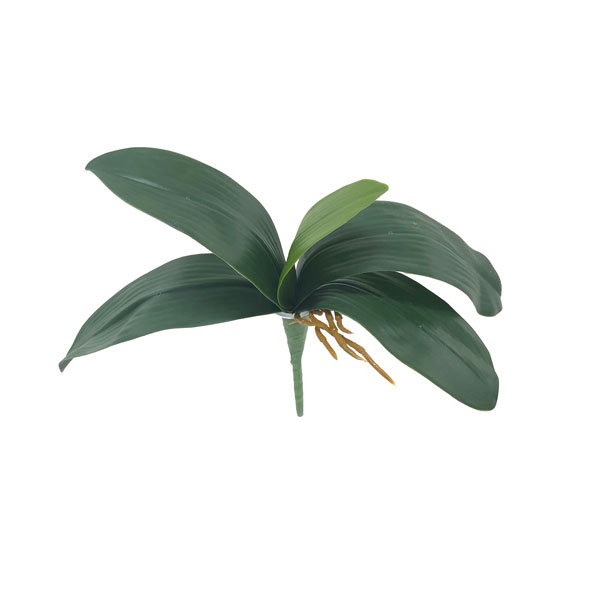 Folhas de Orquídea Artificial com Raiz 5F (27cm)