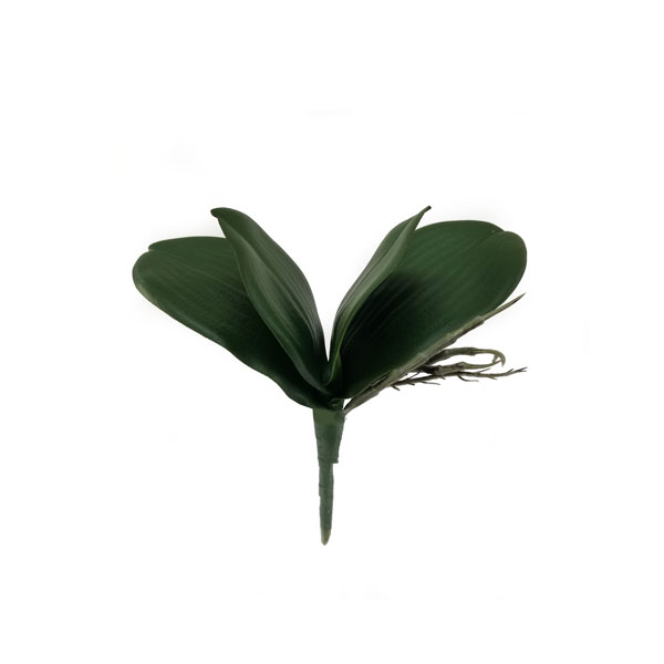 Folha Artificial de Orquídea com Raiz 4F (23cm) - Imagem 5