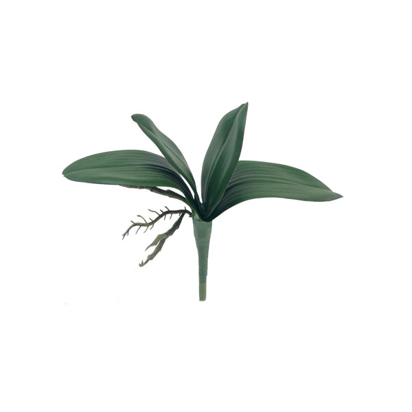 Folha Artificial de Orquídea com Raiz 4F (23cm) - Imagem 2