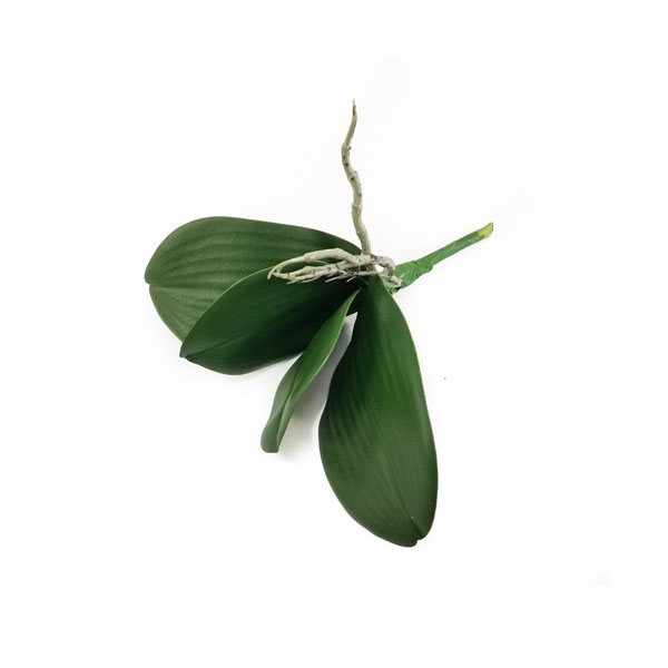 Folha Artificial de Orquídea com Raiz 4F (23cm) - Imagem 4