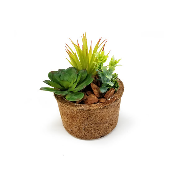 Vaso Fibra Coco 100% Natural - Imagem 2