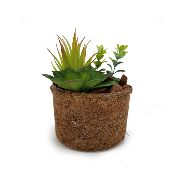 Arranjo de Suculentas Artificial (18cm) em vaso fibra coco - Imagem 3