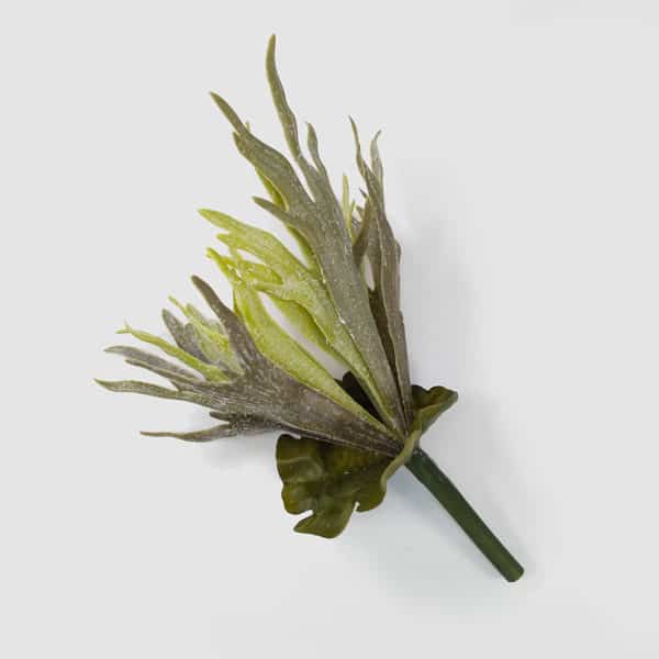 Chifre-de-Veado Planta Pendente Artificial (38cm) - Imagem 3