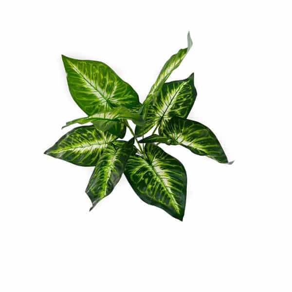 Folhagem para Jardim Vertical Artificial (35cm) - Imagem 7