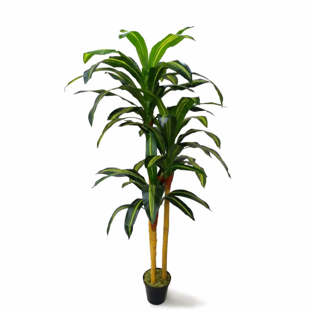 Pau D'Água Árvore Artificial (1,20 -1,90m) - Imagem 4