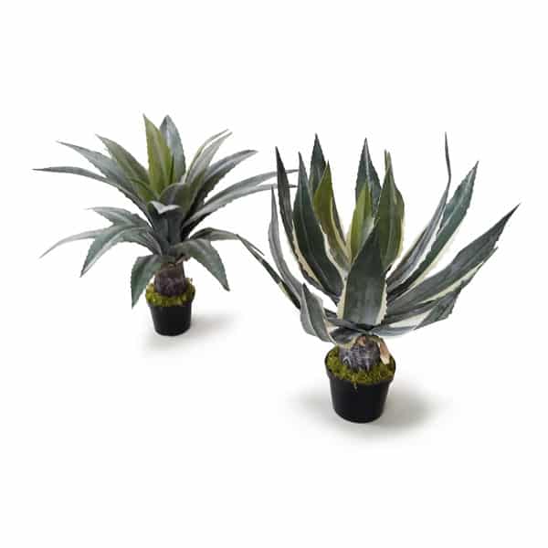 Babosa Planta Suculenta Artificial (60cm) - Imagem 3