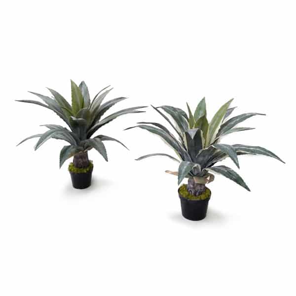 Babosa Planta Suculenta Artificial (60cm) - Imagem 4
