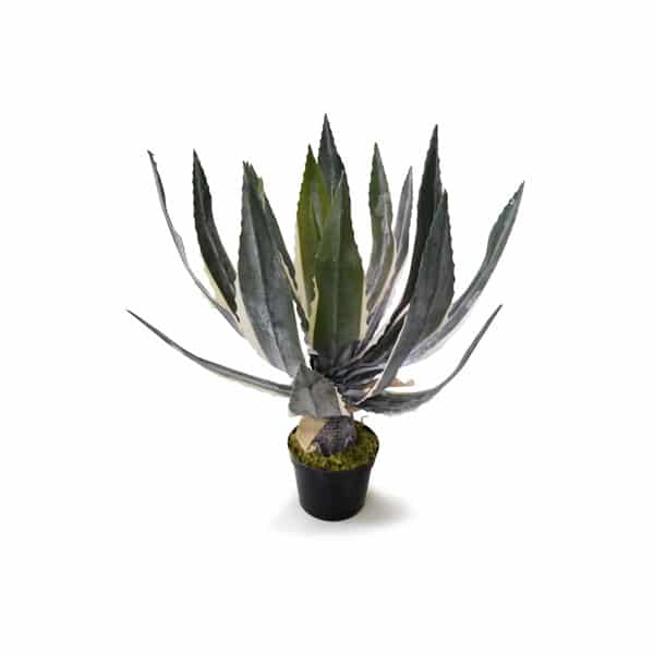 Babosa Planta Suculenta Artificial (60cm) - Imagem 7