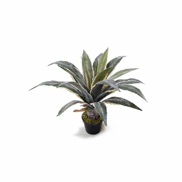 Babosa Planta Suculenta Artificial (60cm) - Imagem 9