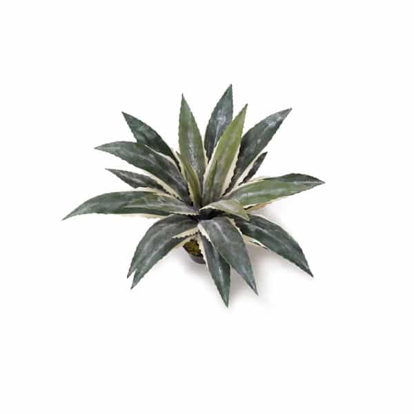 Babosa Planta Suculenta Artificial (60cm) - Imagem 10