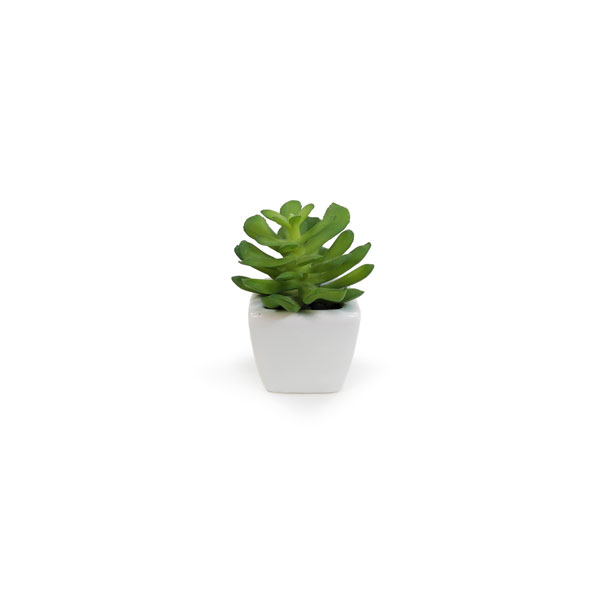 Suculenta Artificial em Vasinho de Cerâmica (7-10cm) - Imagem 16