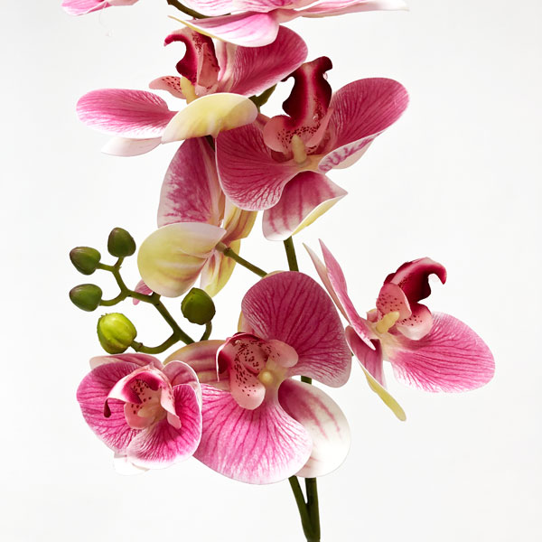 Orquídea Borboleta 3D 8FL Flor Artificial (80cm) - Imagem 19