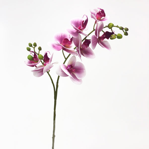 Orquídea Borboleta 3D 8FL Flor Artificial (80cm) - Imagem 36