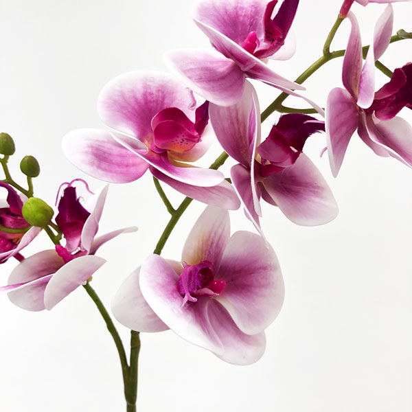 Orquídea Borboleta 3D 8FL Flor Artificial (80cm) - Imagem 37