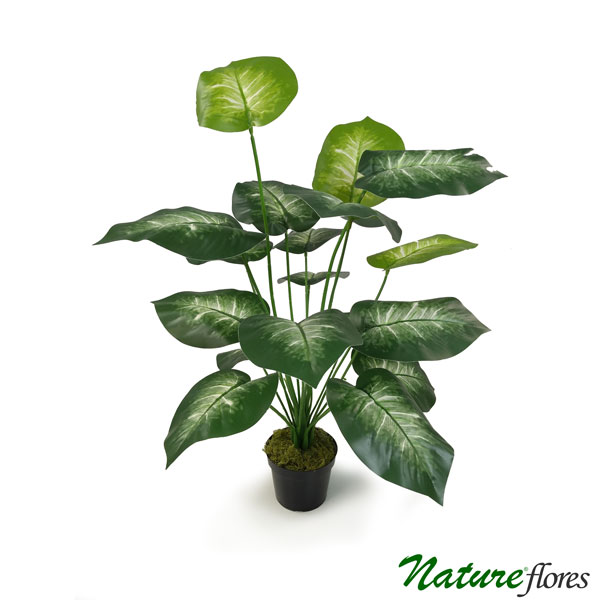 Tinhorão Caladium Arbusto Artificial (70cm) - Imagem 5