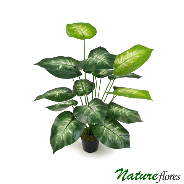 Tinhorão Caladium Arbusto Artificial (70cm) - Imagem 6