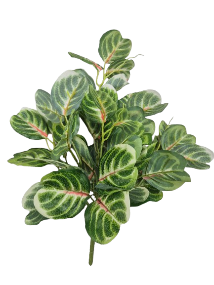 Buque Folhagem de Pata (40cm) - Imagem 2