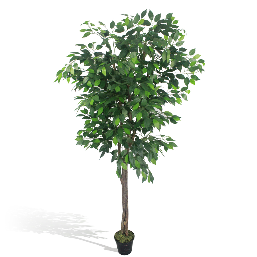 Ficus Verde 1,50m Semi-Artificial - Imagem 4