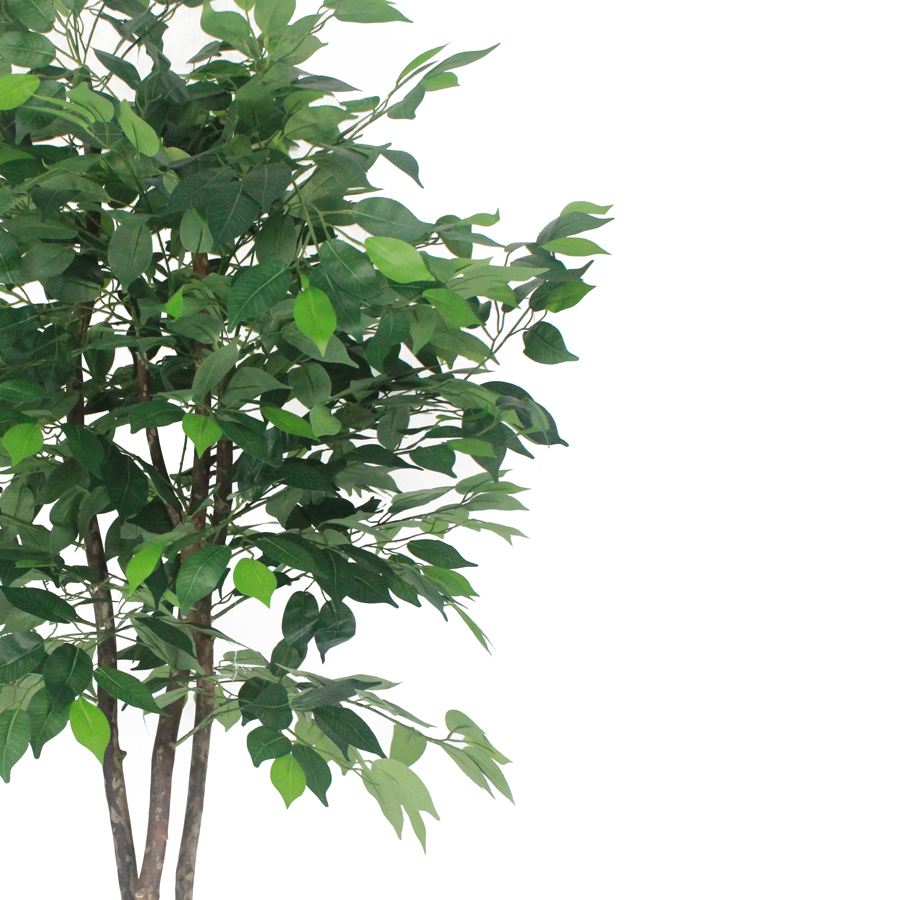 Ficus Verde 1,50m Semi-Artificial - Imagem 5