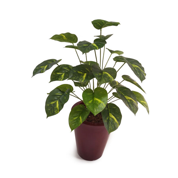 Tinhorao Verde Mesclado - Arbusto Artificial (78cm)
