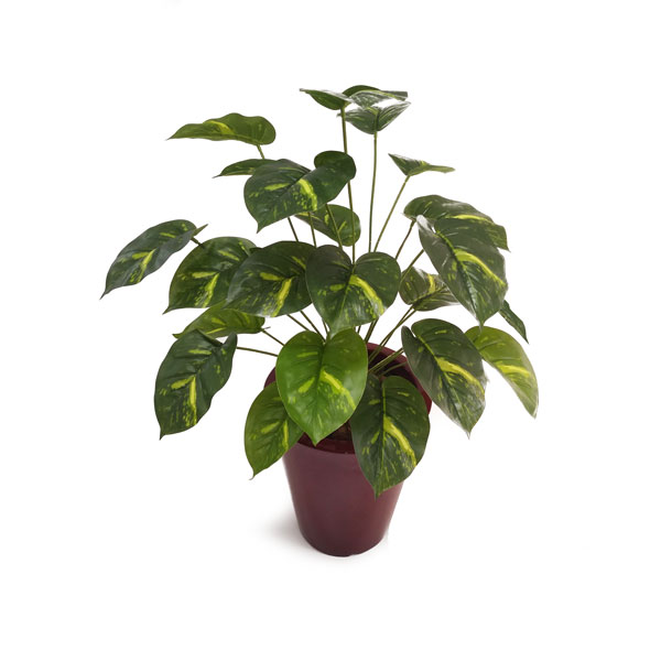 Tinhorao Verde Mesclado - Arbusto Artificial (78cm) - Imagem 2