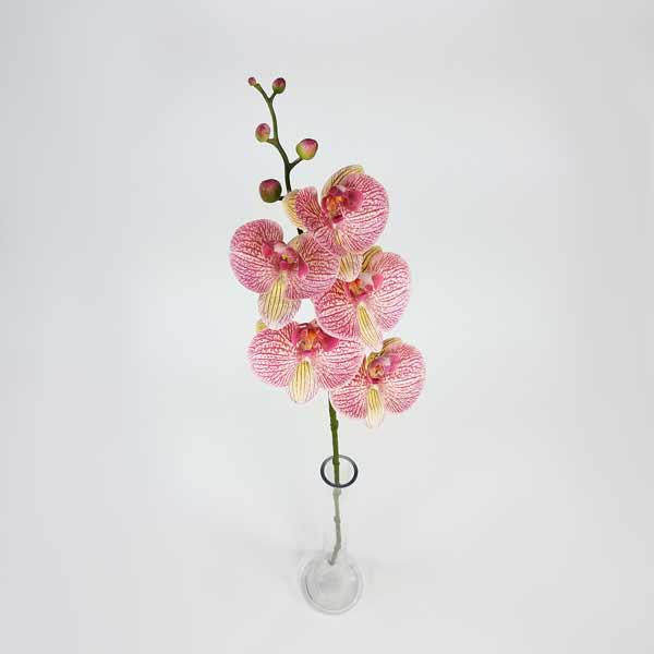 Orquídea Borboleta em Silicone (85cm) - Imagem 11