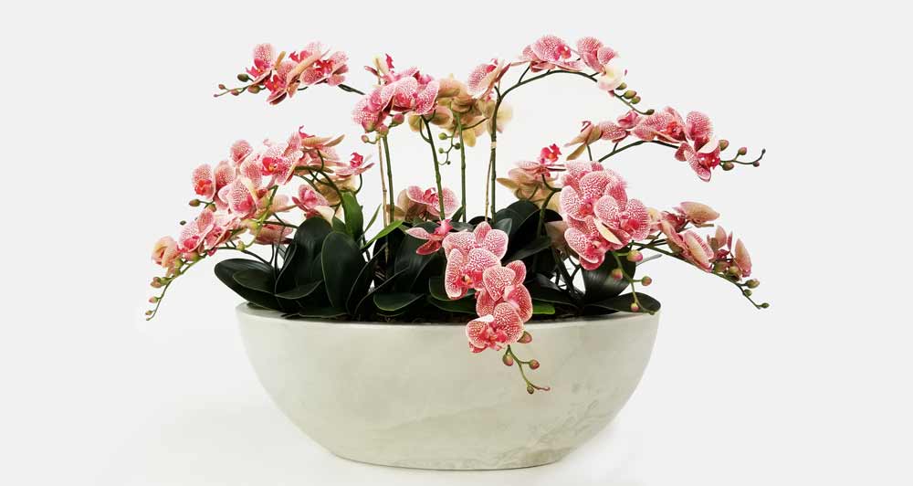 Orquídea Borboleta em Silicone (85cm) - Imagem 18