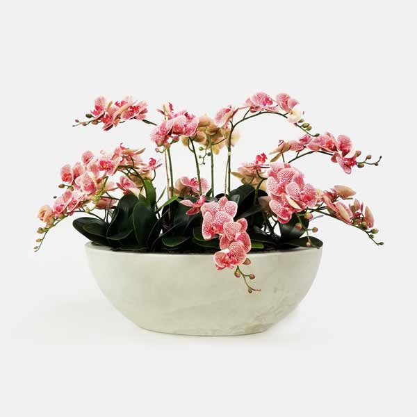 Orquídea Borboleta em Silicone (85cm) - Imagem 17