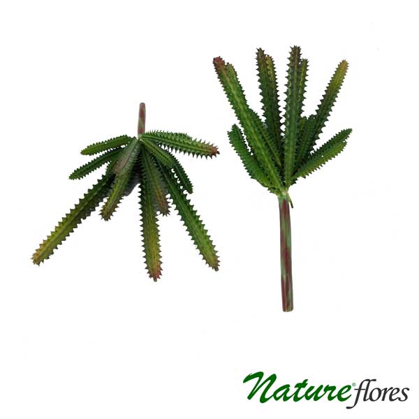 Cacto Espinho Suculenta Artificial (23cm) - Imagem 3