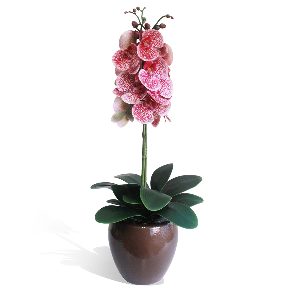 Vaso Esmaltado Fibra Jardim - marrom - Imagem 3
