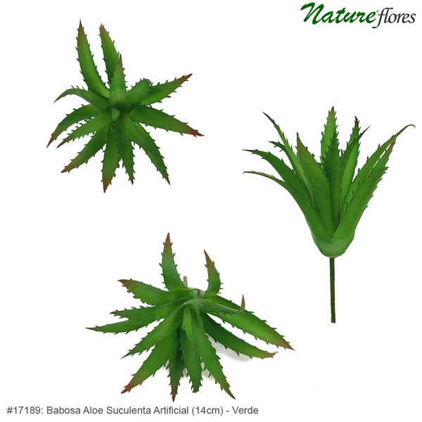 Babosa Aloe Suculenta Artificial (14cm) - Imagem 3